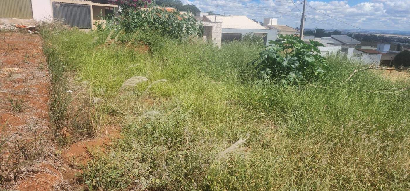 Lote para Venda, em Patos de Minas, bairro Jardim Esperança