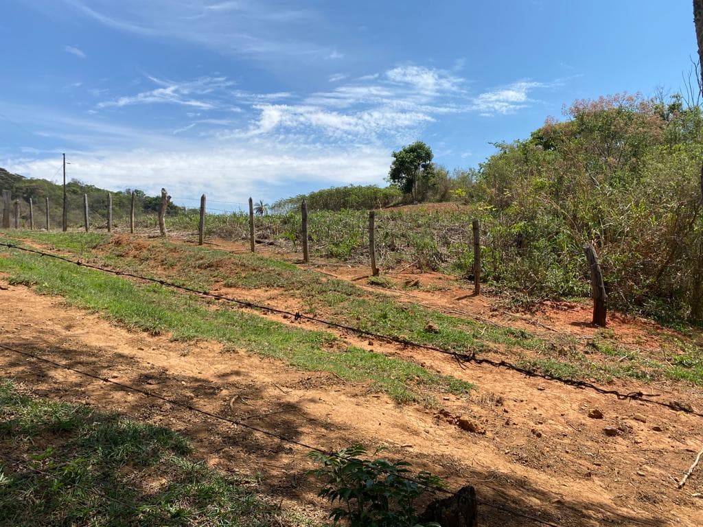 FAZENDA BIBOCA E AGUA GRANDE - SÃO GOTARDO